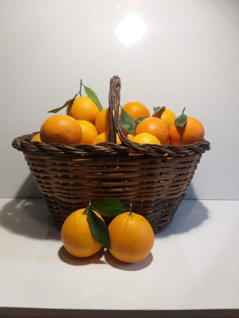 Naranjas Navel de Mesa